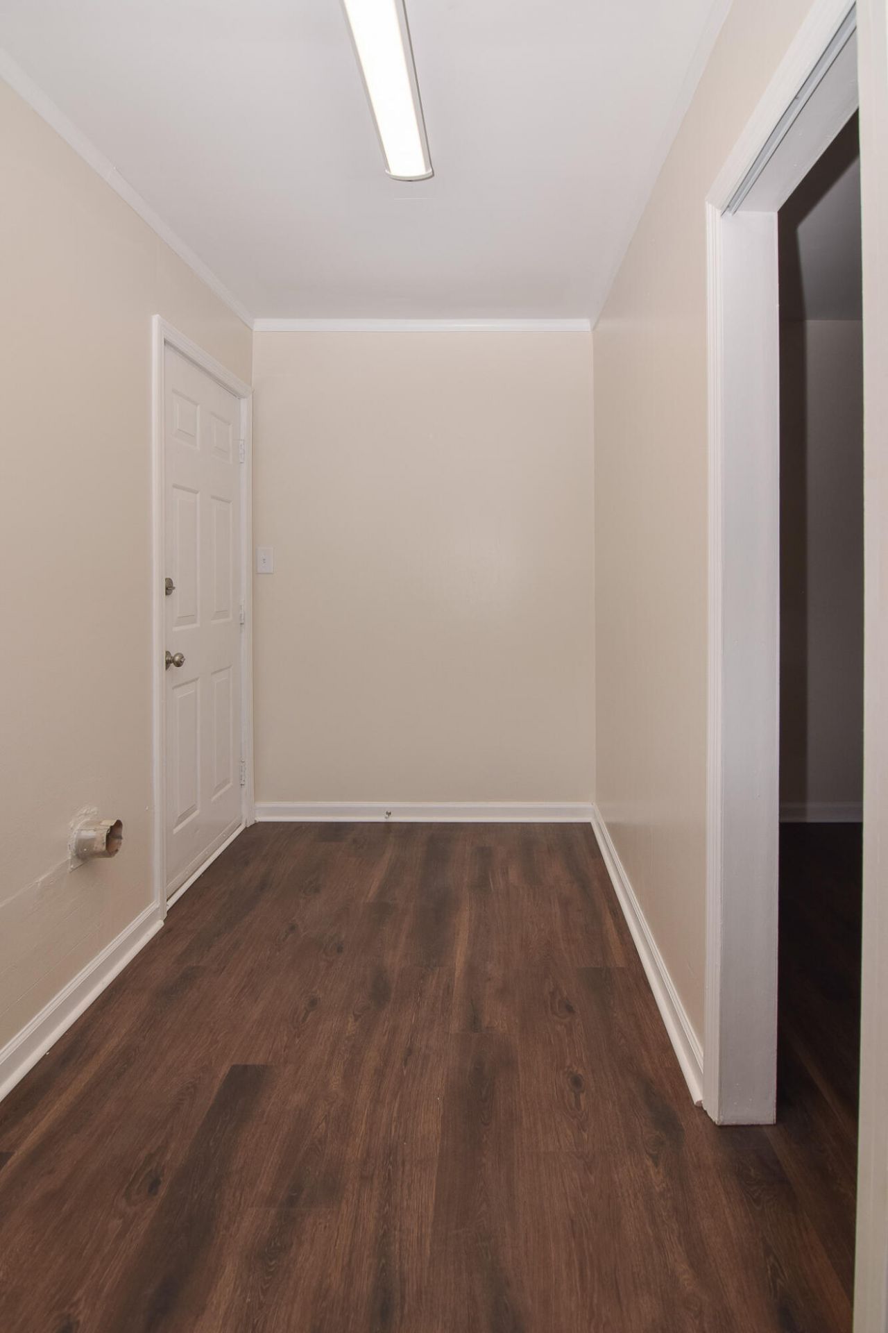 403 Tulip Street Photo 12