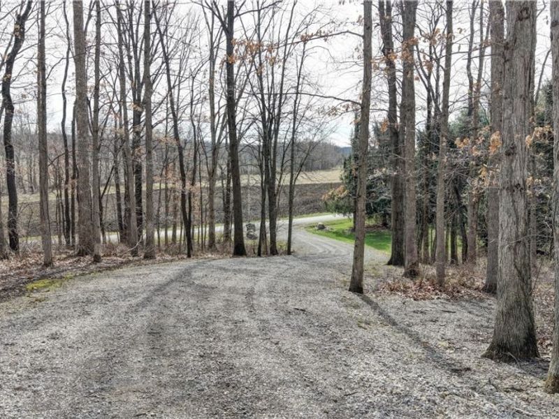 8045 Mcfadden Road, Shreve, OH 44676 Photo 15