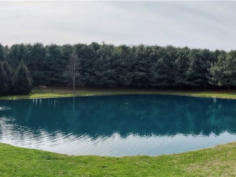 8045 Mcfadden Road, Shreve, OH 44676 Photo 20