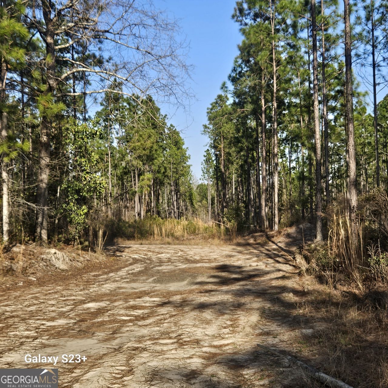 0 Mill Branch Club Road 1 K, Pembroke, GA 31321 Main Photo