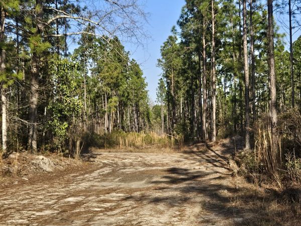 0 Mill Branch Club Road 1 K, Pembroke, GA 31321