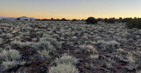 6600 Goldfield Road, Reno, NV 89521 Photo