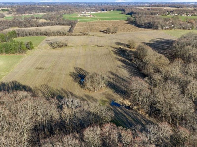 Manchester Avenue NW, Massillon, OH 44647 Photo 19