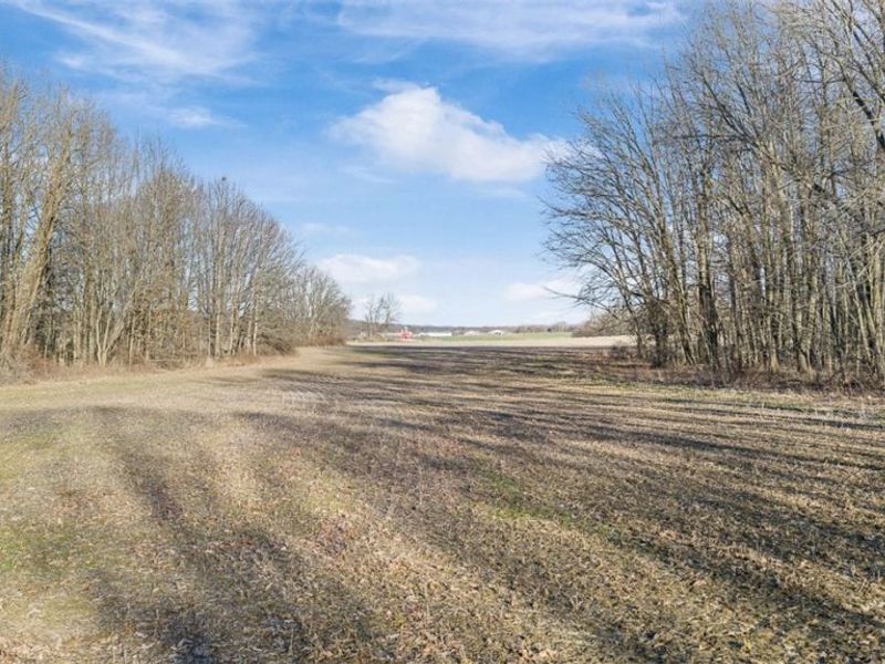 Manchester Avenue NW, Massillon, OH 44647 Photo 21