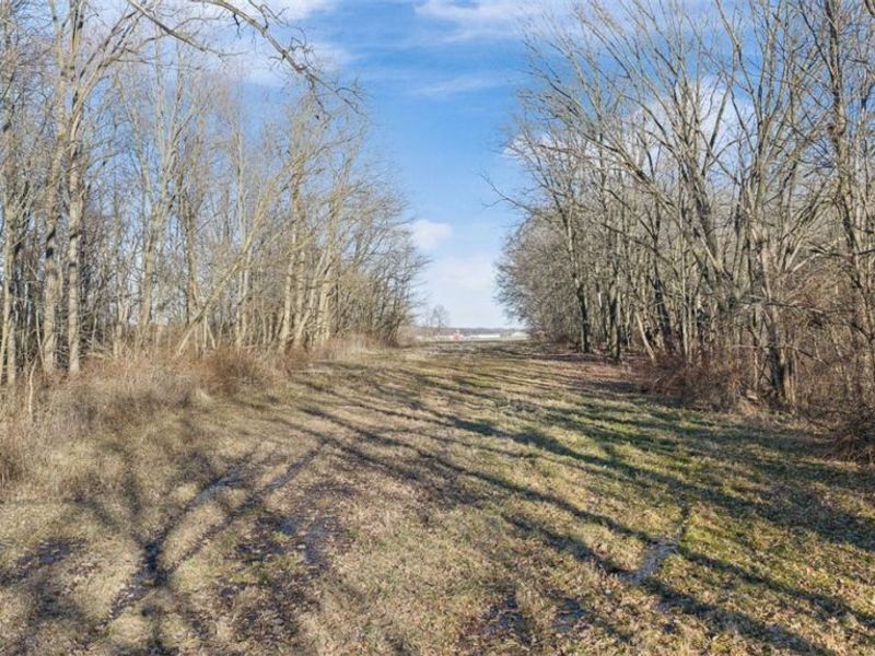 Manchester Avenue NW, Massillon, OH 44647 Photo 22