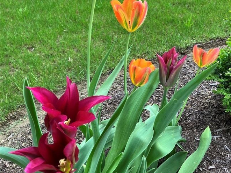 2080 Hawthorn Court, Green, OH 44720 Photo 42