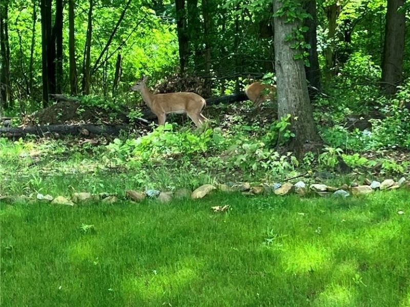 2080 Hawthorn Court, Green, OH 44720 Photo 44