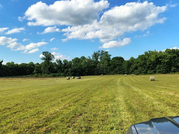 000 LOVELACE CROSSING RD, Henning, TN 38041