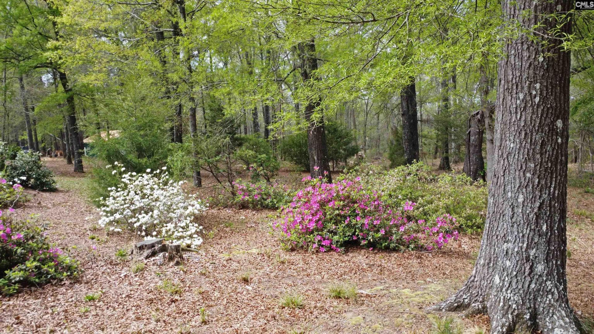 418 Gin Branch Circle Photo 45