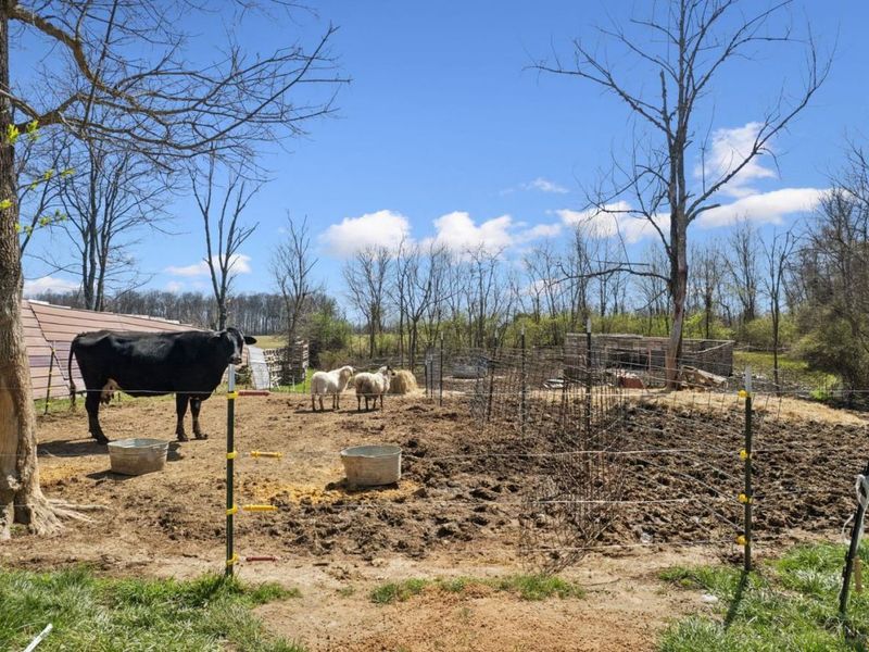 2326 Eden Road, Lewis Twp, OH 45130 Photo 8