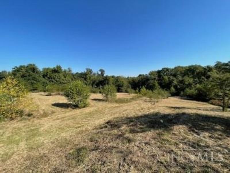 1 Alexandras Way, Lot 262, Cleves, OH 45002 Photo 4