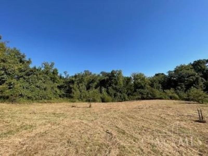 1 Alexandras Way, Lot 262, Cleves, OH 45002 Photo 6