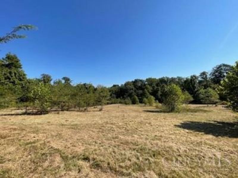 1 Alexandras Way, Lot 262, Cleves, OH 45002 Photo 8