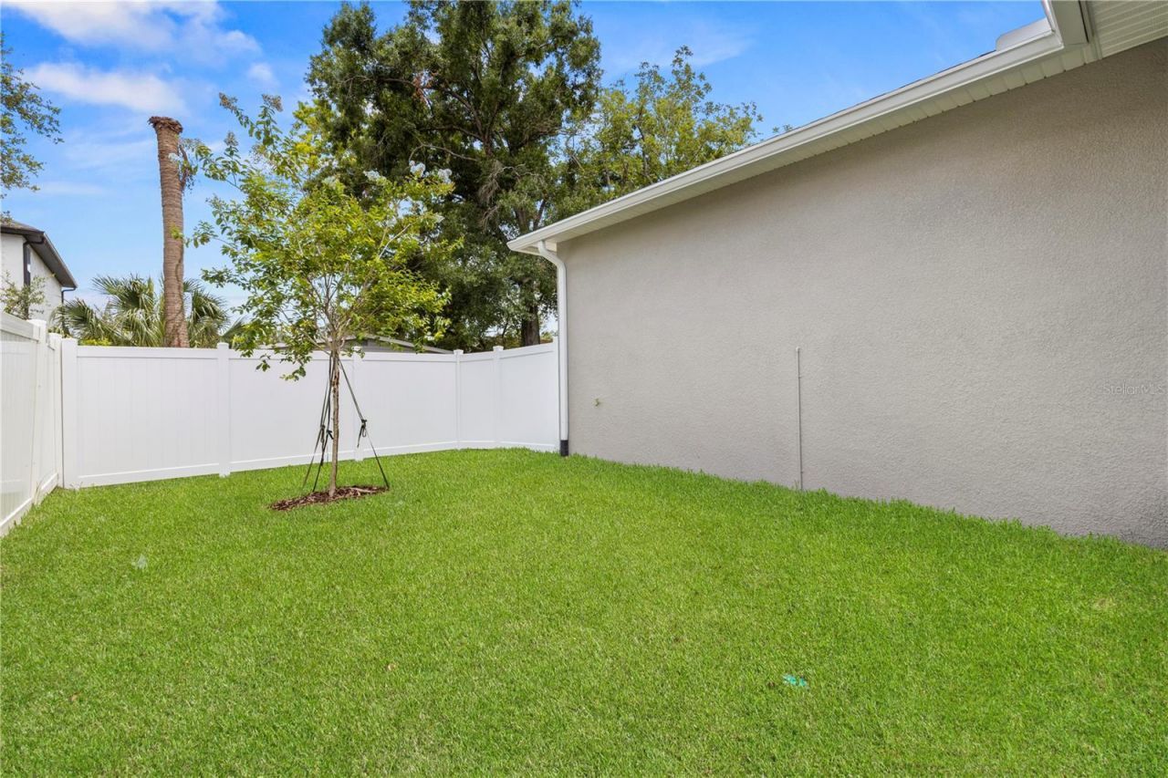 1522 W Arch Street, Tampa, FL 33607 Photo