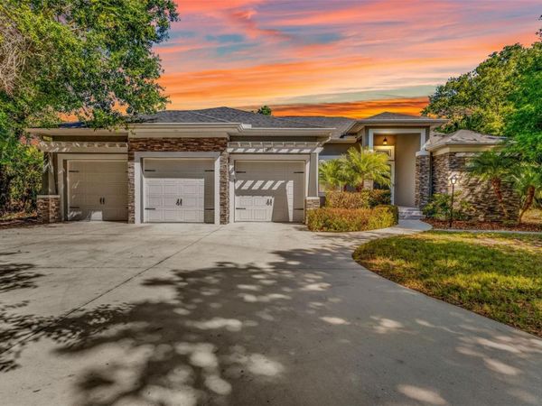 11899 SW DARCY DRIVE , LAKE SUZY, FL 34269