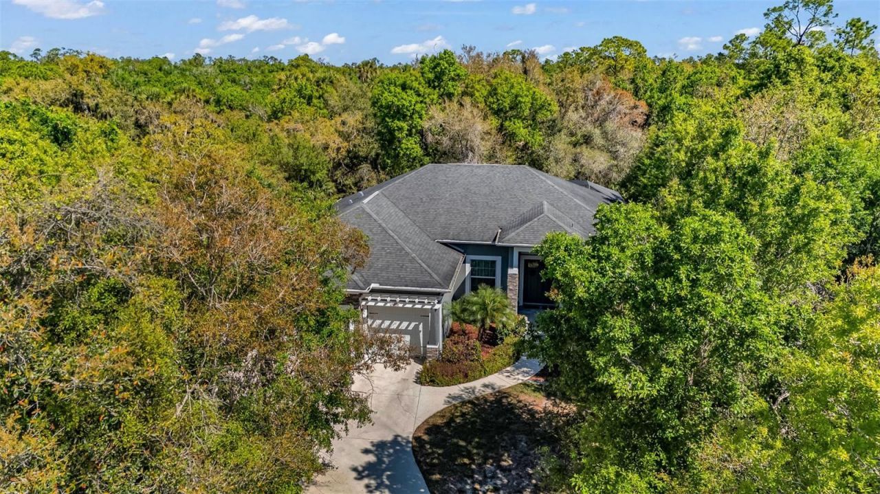 11899 SW Darcy Drive , Lake Suzy, FL 34269 Photo