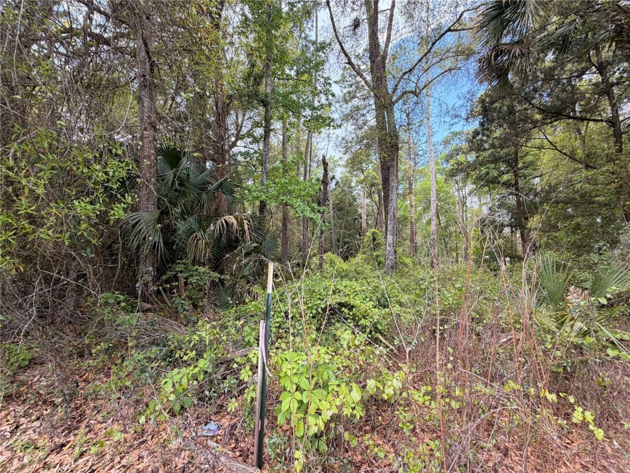County Road 445a, Astor, FL 32102 Photo