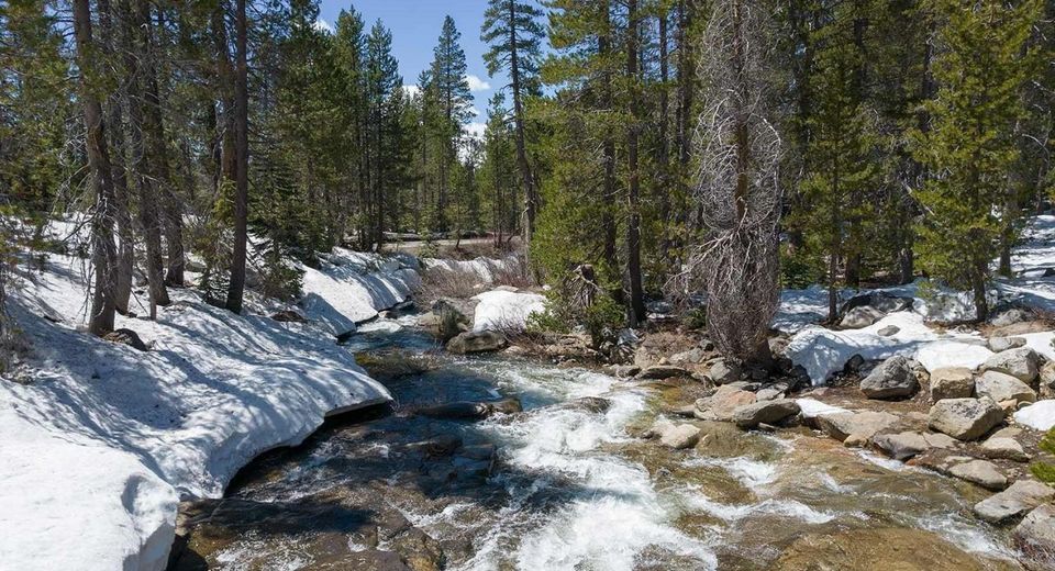 20954 Donner Pass Road, Soda Springs, CA 95728 Photo