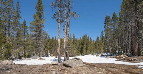 20954 Donner Pass Road, Soda Springs, CA 95728 Photo