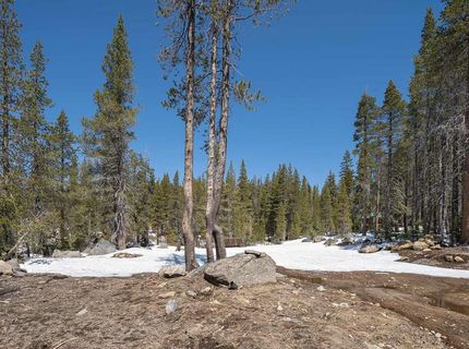 20954 Donner Pass Road, Soda Springs, CA 95728 Photo