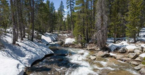 20954 Donner Pass Road, Soda Springs, CA 95728 Photo