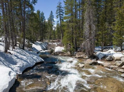 20954 Donner Pass Road, Soda Springs, CA 95728 Photo