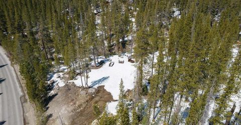 20954 Donner Pass Road, Soda Springs, CA 95728 Photo