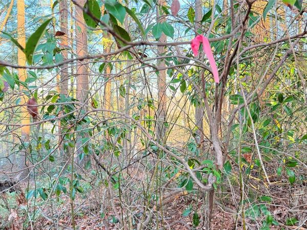 00 Toms Park Circle, Hendersonville, NC 28792