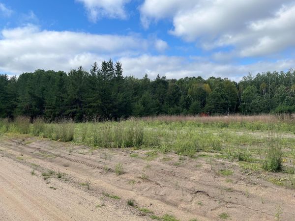 1707 Hassman Hill Tract B Road SW, Pine River, MN 56474