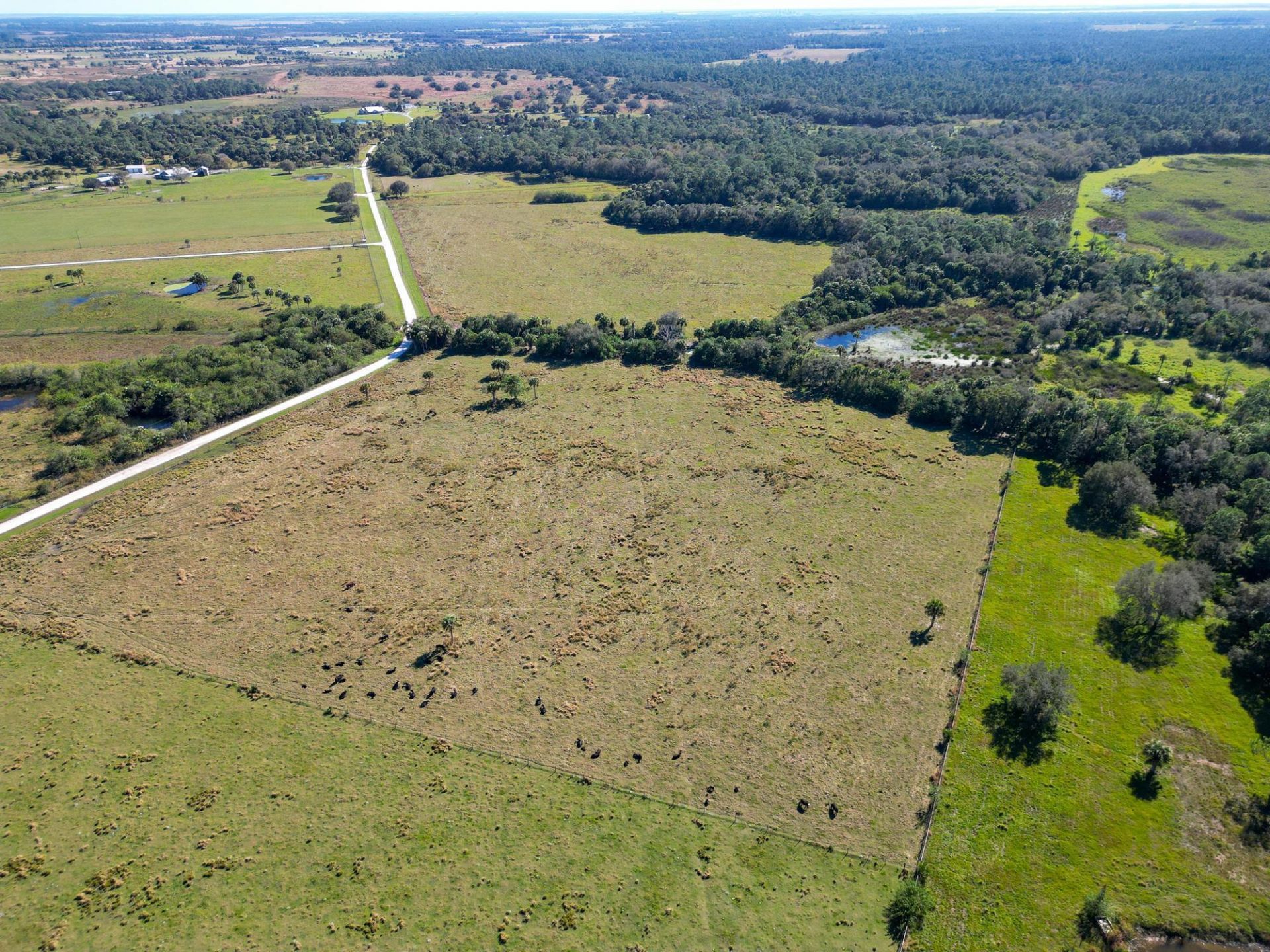 3702 SW Wild Turkey Lane, Okeechobee, FL 34974 Photo