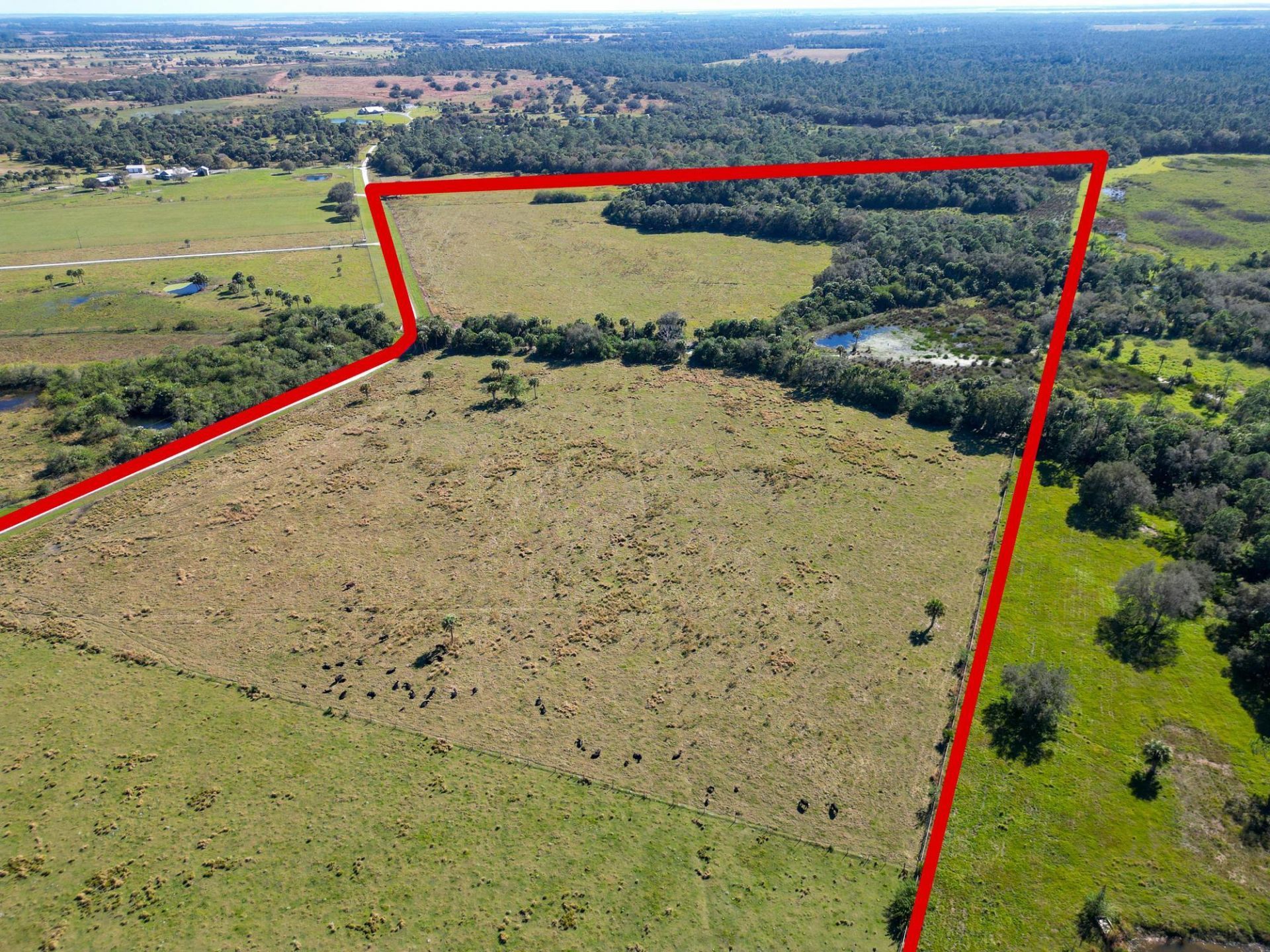 3702 SW Wild Turkey Lane, Okeechobee, FL 34974 Photo