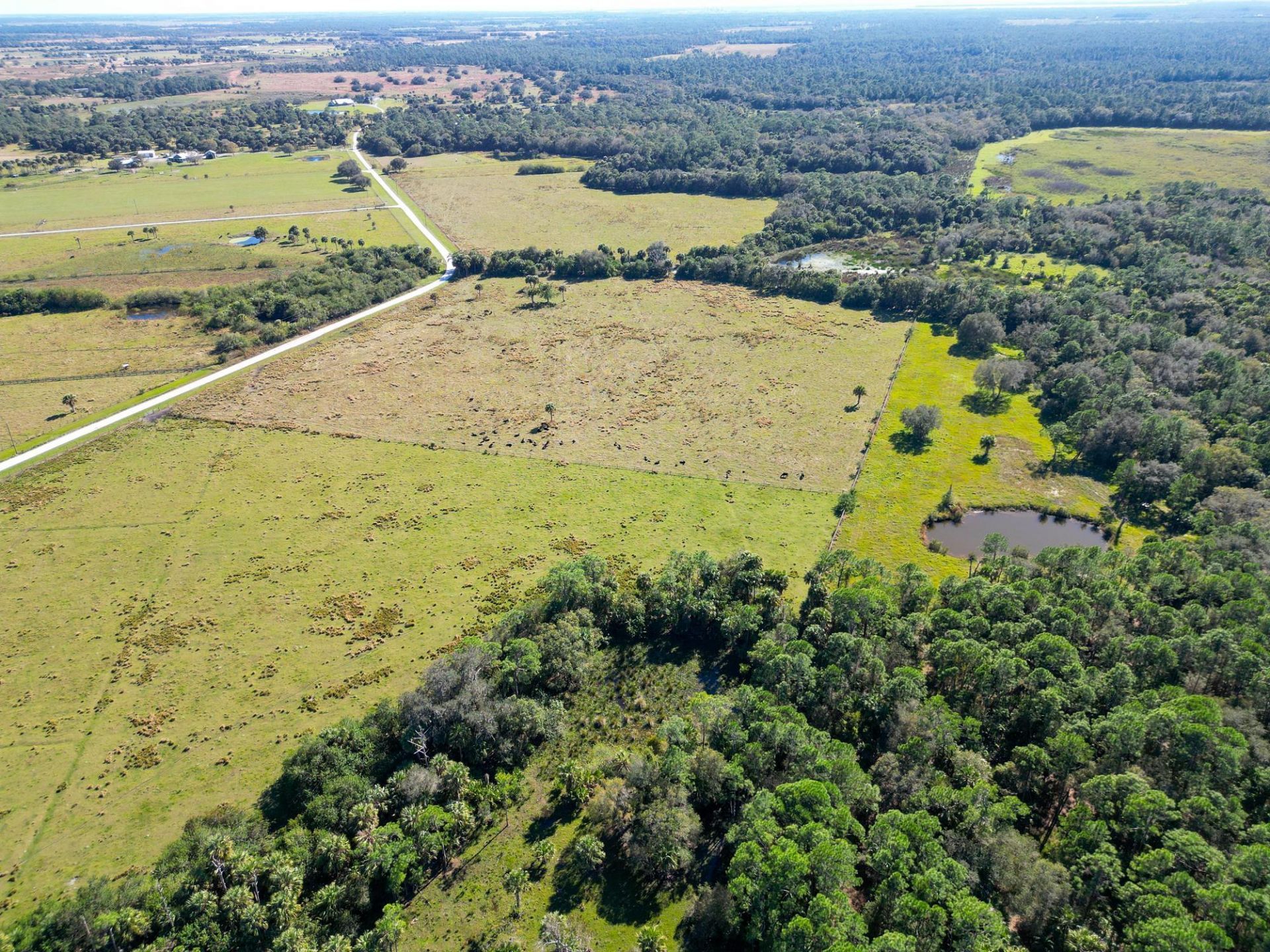 3702 SW Wild Turkey Lane, Okeechobee, FL 34974 Photo