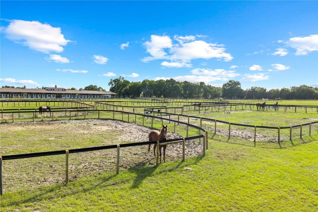 1345-1 NE 155 Place, Citra, FL 32113 Photo