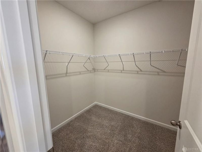 7755 Cilantro Way, Clayton, OH 45315 Photo 15