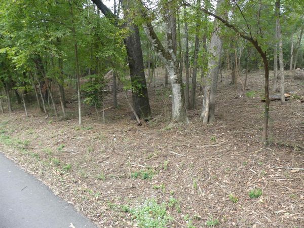 000 COZY ACRES, Mountain Pine, AR 71956