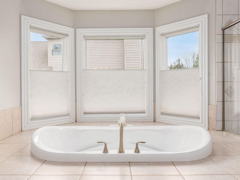 8236 Campden Lakes Boulevard, Dublin, OH 43016 Photo 21