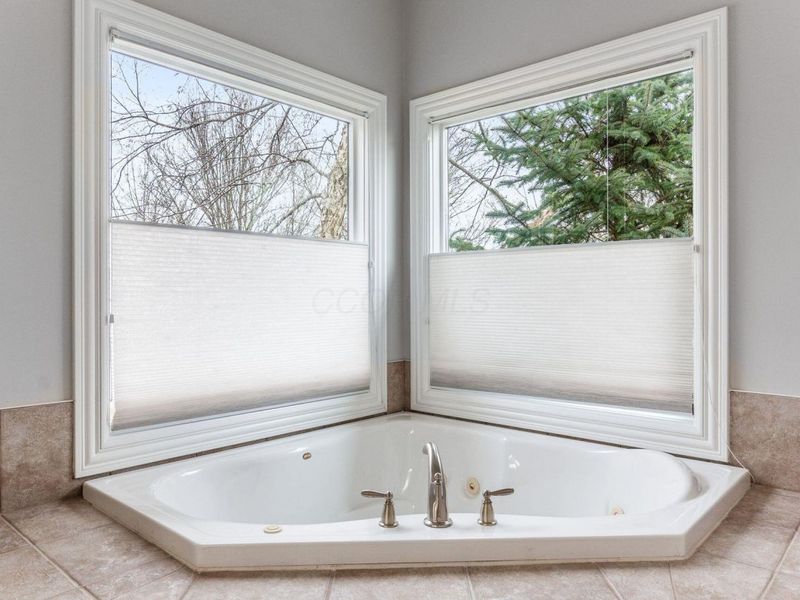 8236 Campden Lakes Boulevard, Dublin, OH 43016 Photo 42