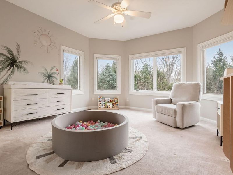 8236 Campden Lakes Boulevard, Dublin, OH 43016 Photo 43