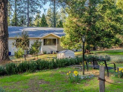 22401 Shake Ridge Rd, Volcano, CA 95689 Photo