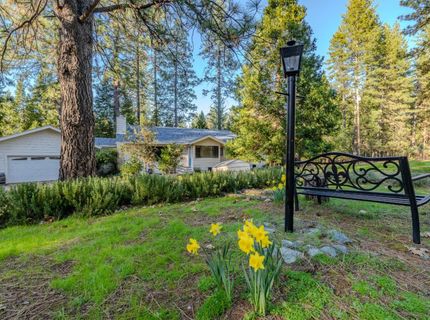 22401 Shake Ridge Rd, Volcano, CA 95689 Photo