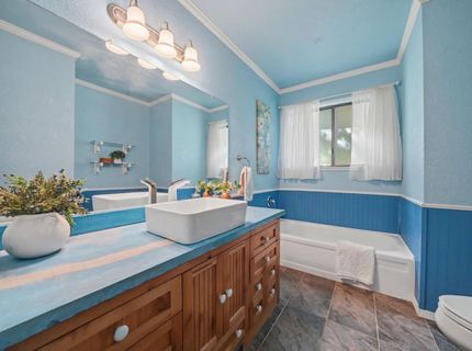22401 Shake Ridge Rd, Volcano, CA 95689 Photo