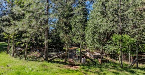 22401 Shake Ridge Rd, Volcano, CA 95689 Photo