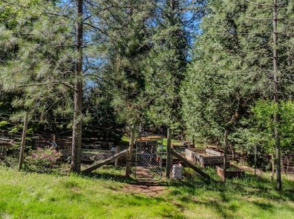 22401 Shake Ridge Rd, Volcano, CA 95689 Photo