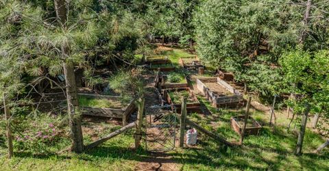 22401 Shake Ridge Rd, Volcano, CA 95689 Photo