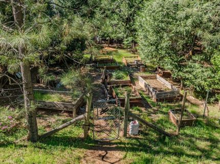 22401 Shake Ridge Rd, Volcano, CA 95689 Photo