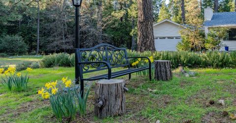 22401 Shake Ridge Rd, Volcano, CA 95689 Photo