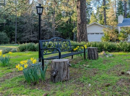 22401 Shake Ridge Rd, Volcano, CA 95689 Photo