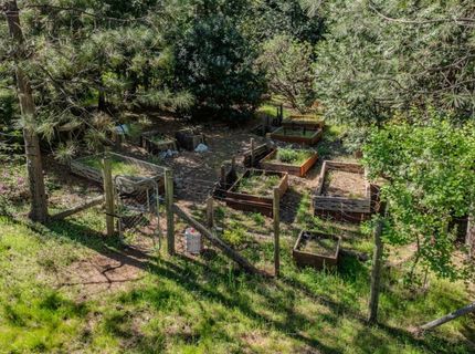 22401 Shake Ridge Rd, Volcano, CA 95689 Photo