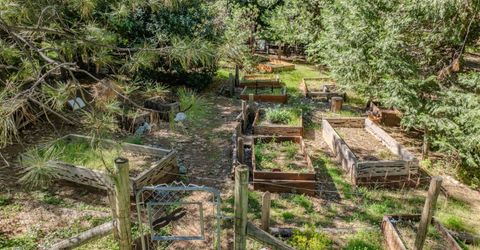 22401 Shake Ridge Rd, Volcano, CA 95689 Photo