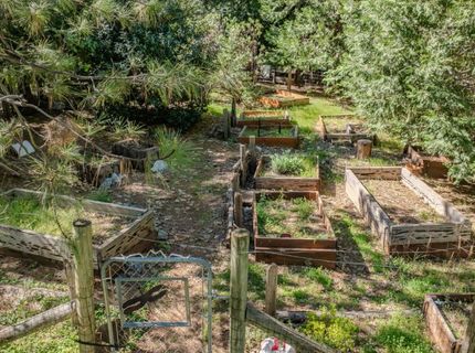 22401 Shake Ridge Rd, Volcano, CA 95689 Photo